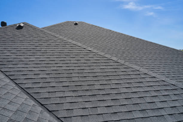 Best Chimney Flashing Repair  in West Portsmouth, OH